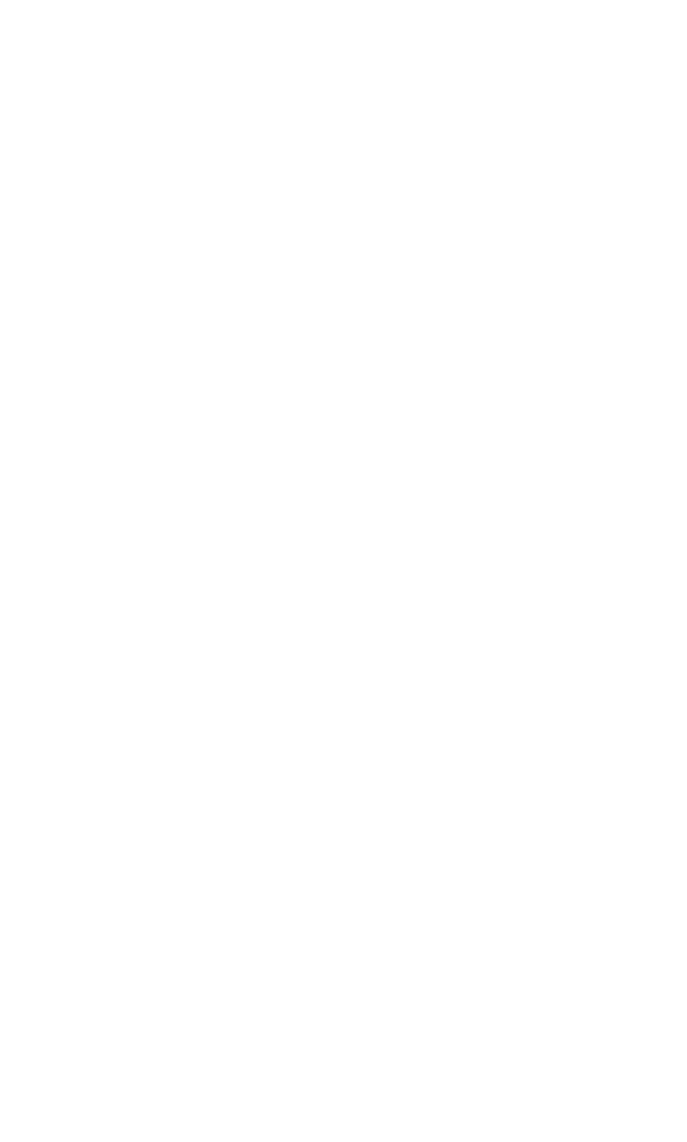 Flying Brick Racing Logo